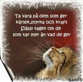hemsida.jpg