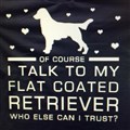 Talk my dog.jpg