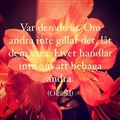 dagar.jpg
