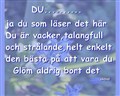 fin.jpg