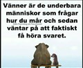 gall18.jpg
