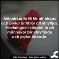 gall19.jpg