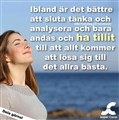 gall23.jpg