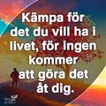 gall24.jpg