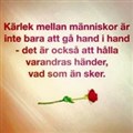 gall27.jpg