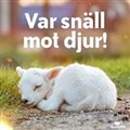 gall31.jpg
