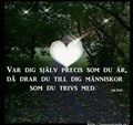 gall 7.jpg