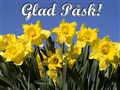 gladpask.jpg