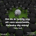 ha bild.jpg