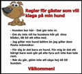 hund.......jpg
