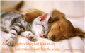hund1.png