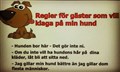 hund gäst.jpg