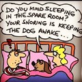 hund mitten säng.jpg