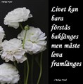 livet framlänges.jpg