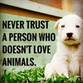 never trust.jpg