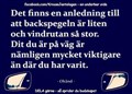 spegeln.jpg
