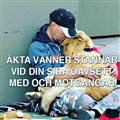 vänner...jpg
