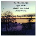 värde.jpg