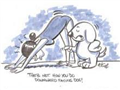 yoga.png
